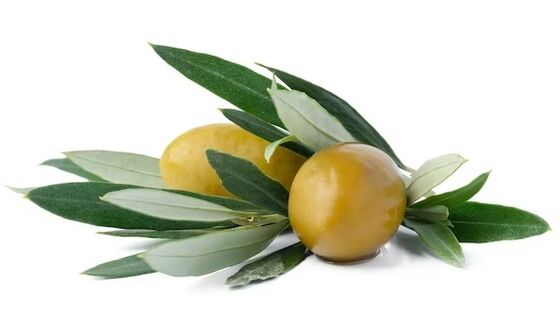 Diamorm Plus contains olive leaves extract